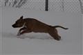 DSC_1033.JPG