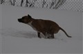 DSC_1034.JPG